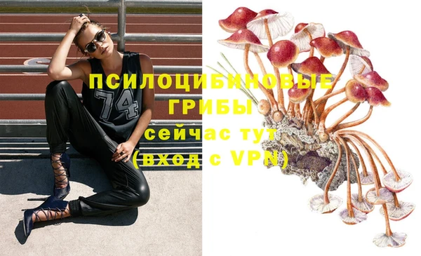 гидра Балабаново