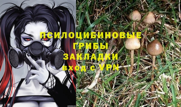 сатива Балахна