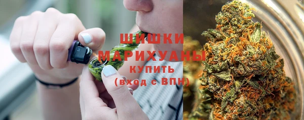 PSILOCYBIN Приозерск