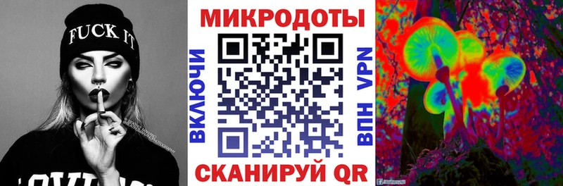 Псилоцибиновые грибы Psilocybe  Карасук 